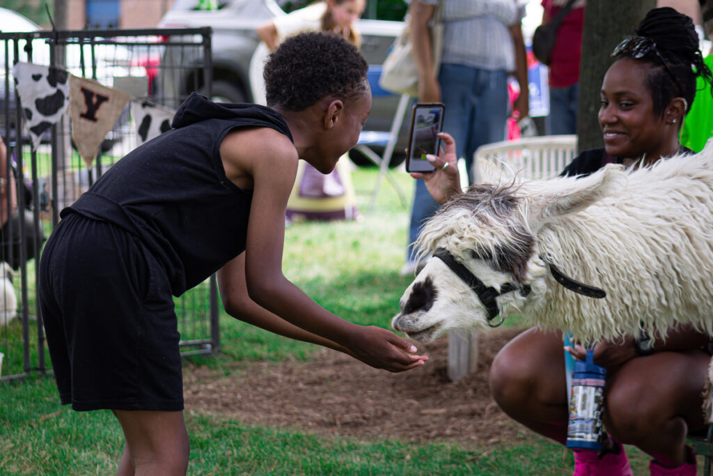 Madison Heights Juneteenth Celebration