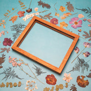 Botanical Collage Workshop: Framed Pressed Flower Art