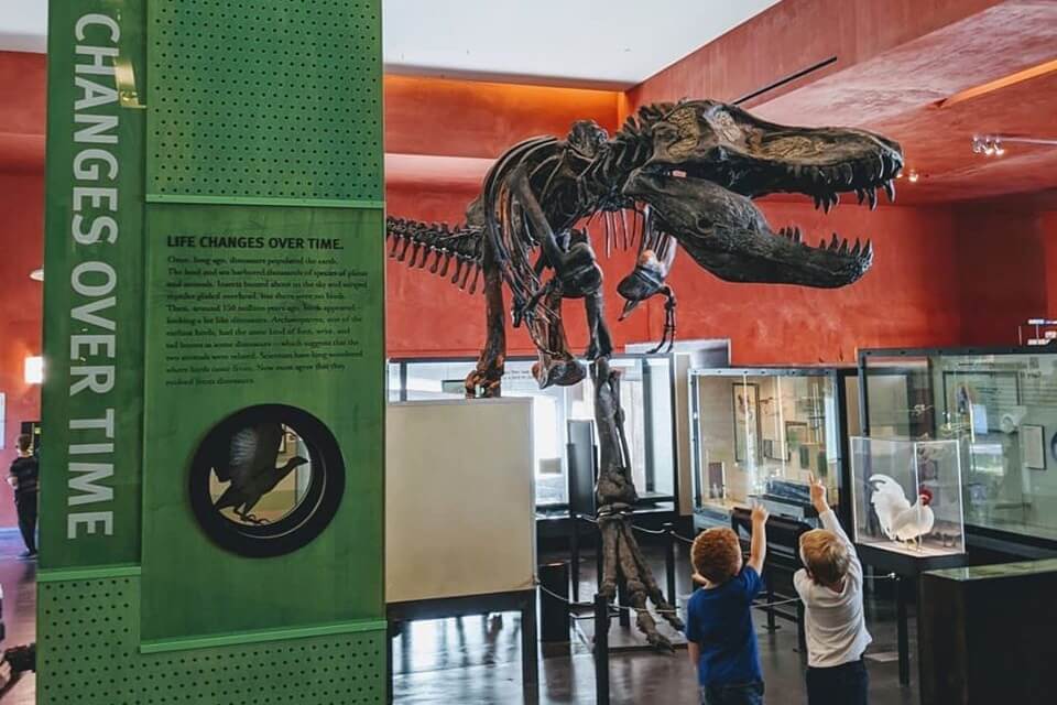 Free First Friday at Cranbrook