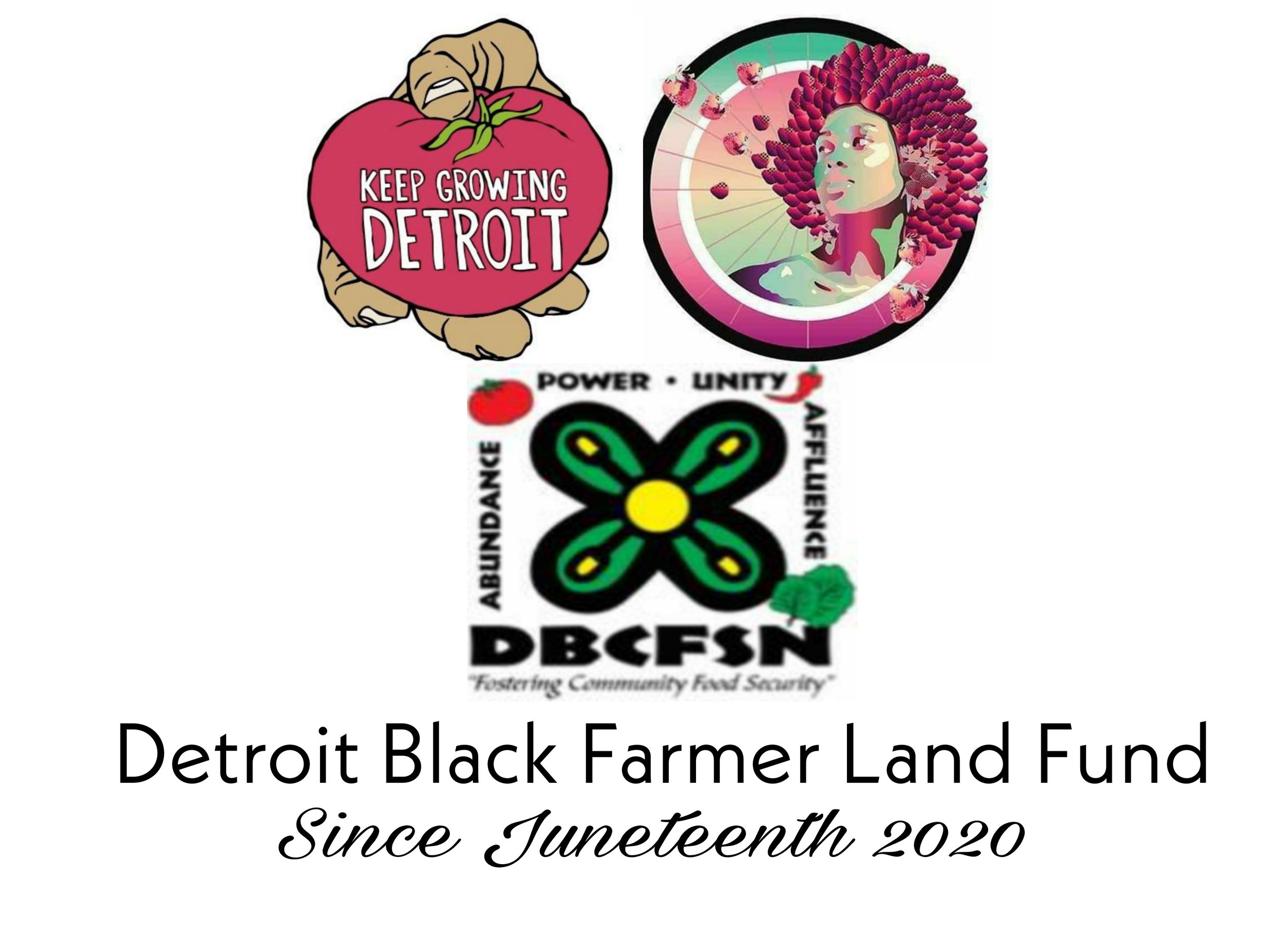 Detroit Black Farmer Land Fund Application Released