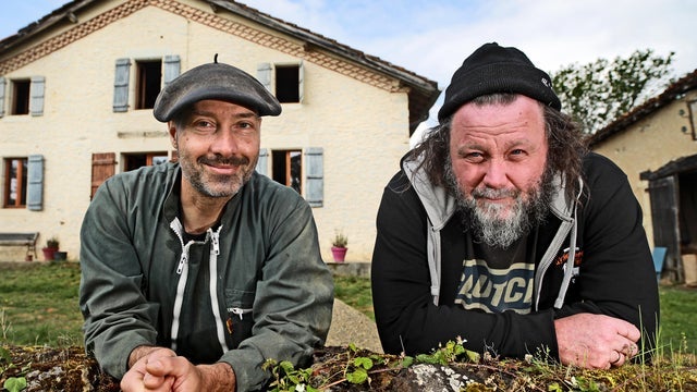 The Inspector Cluzo, The Messenger Birds