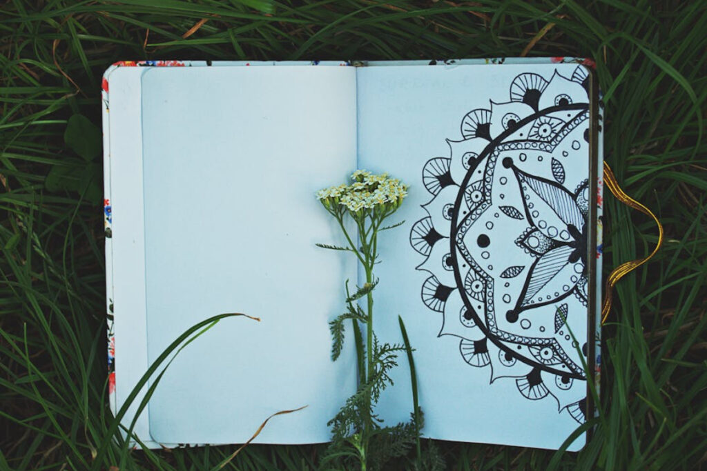 Gotta Sketch Them All