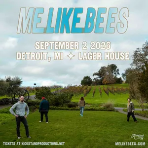 Me Like Bees