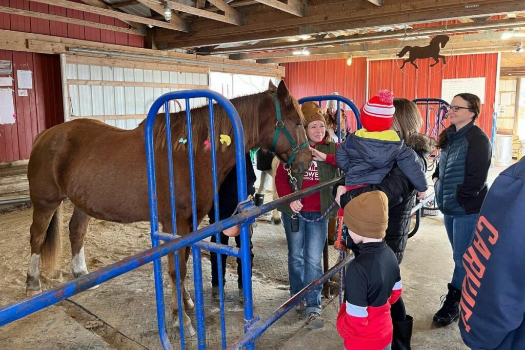 You, Me, and the Barns