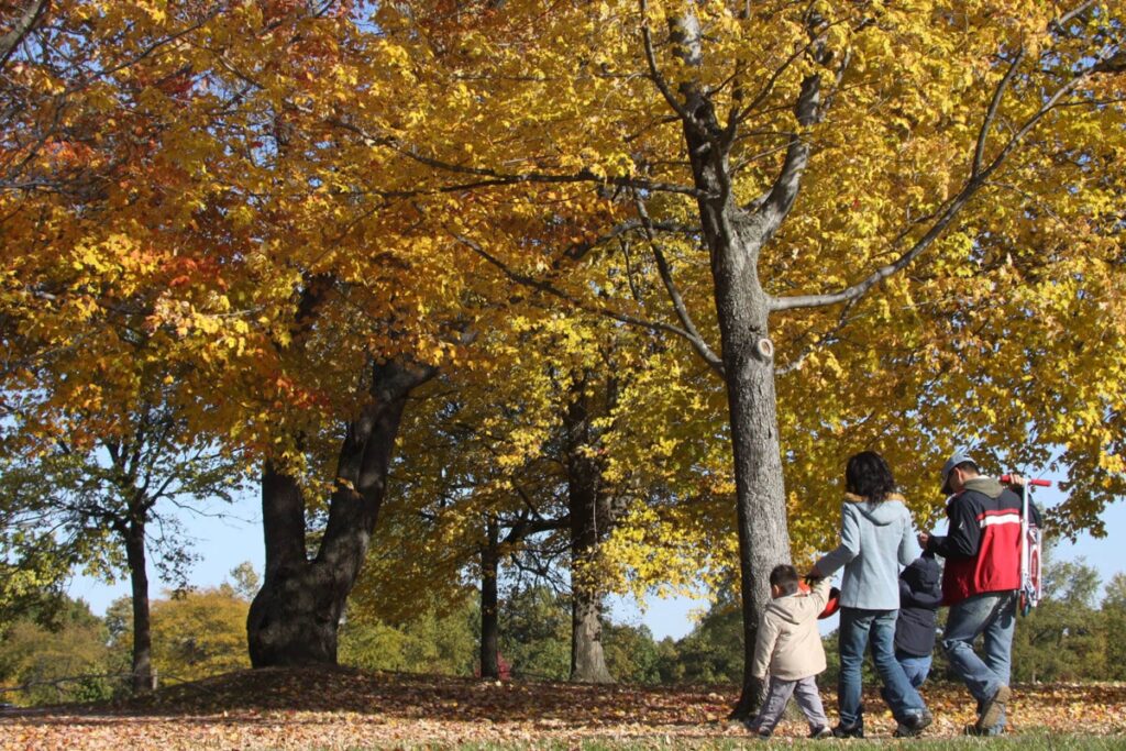 Family Nature Hike