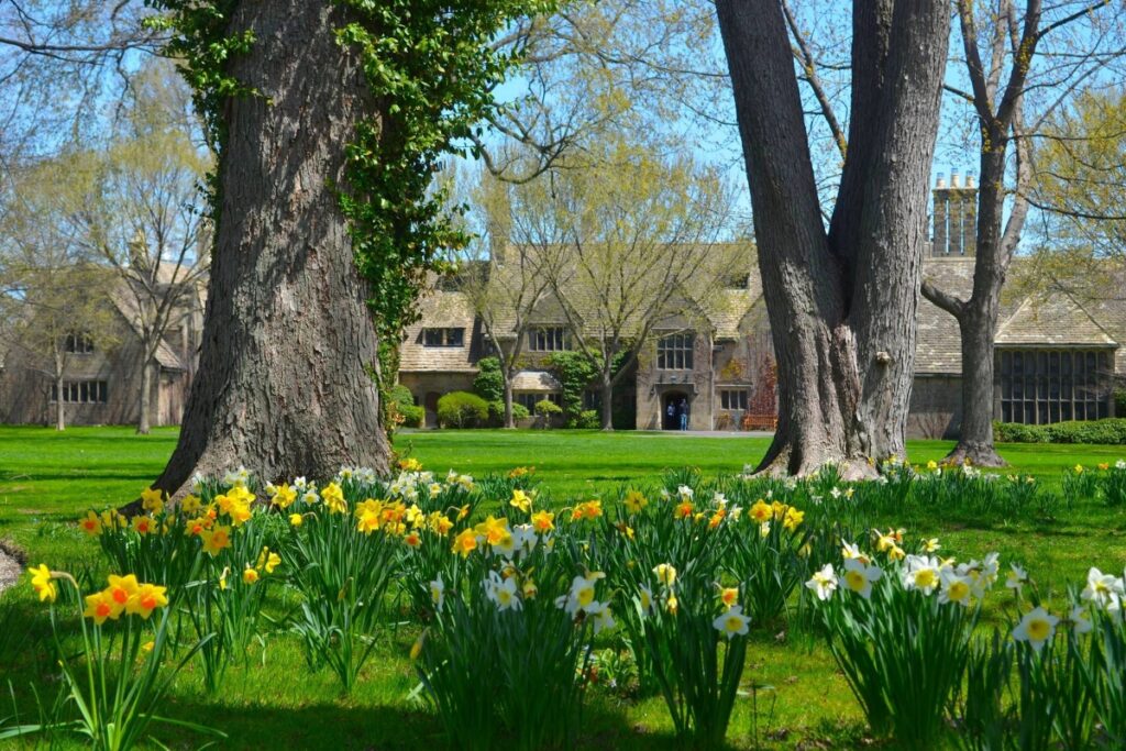 Mother’s Day Brunch