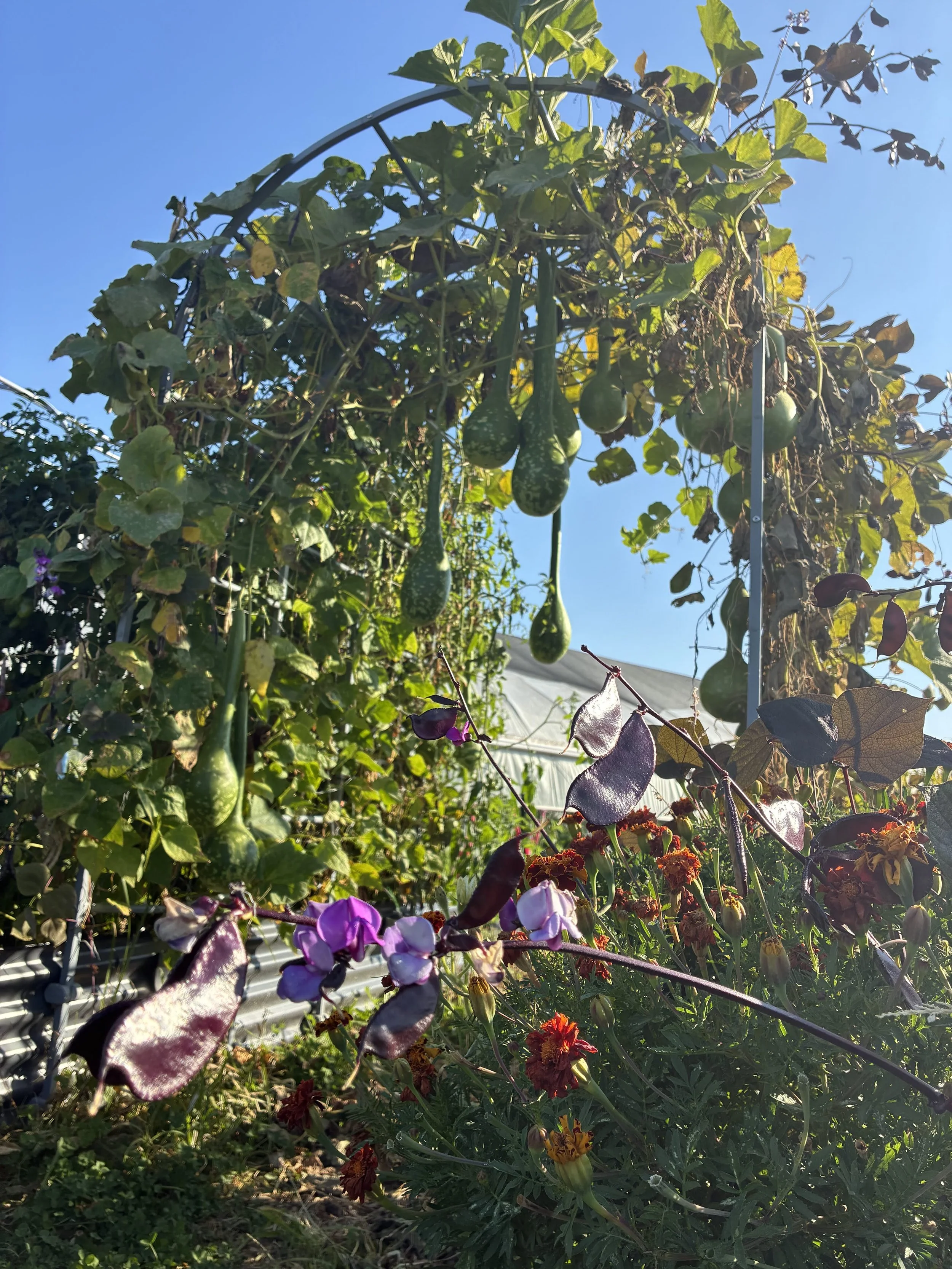 Fundraising for Farmers: Where to Find Resources & How to Apply