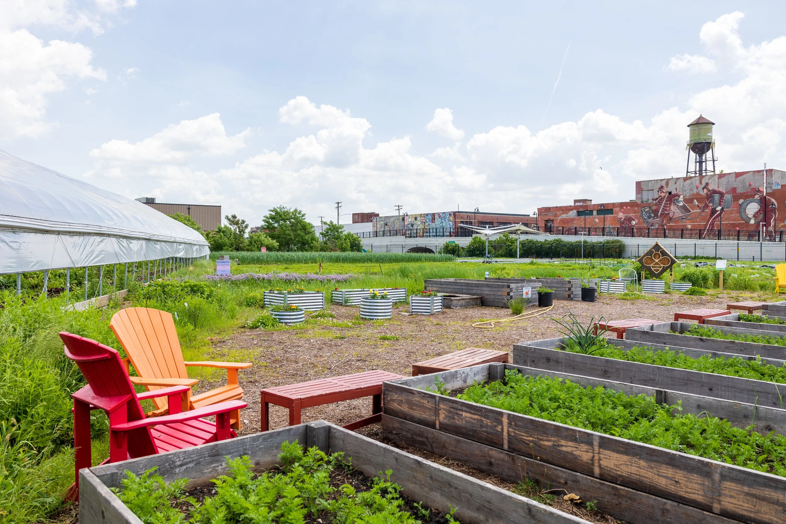 Fall Crop Planting and Care