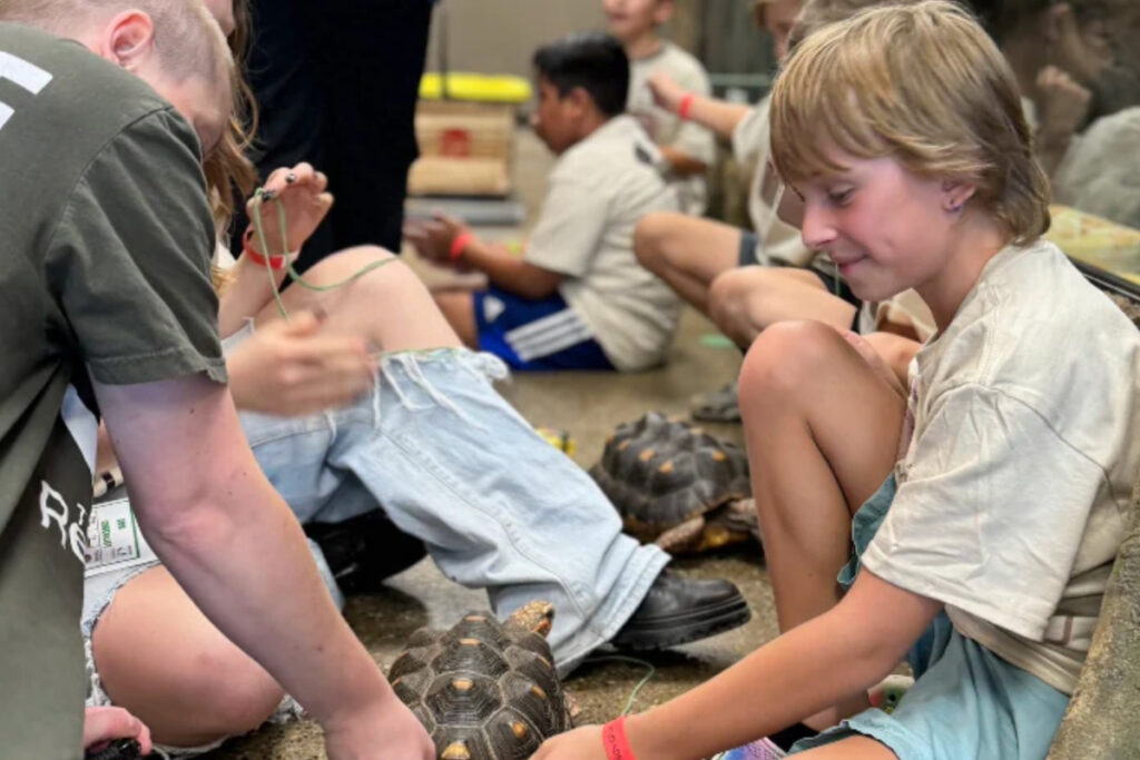 The Reptarium at the Library