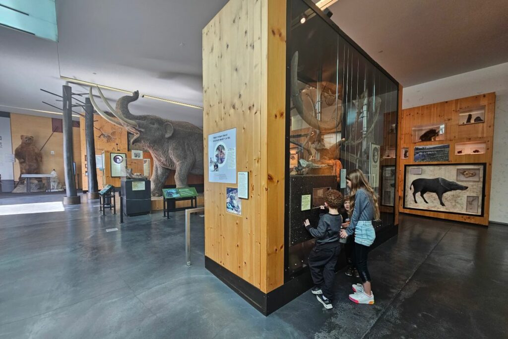 Mothers FREE Admission at Cranbrook