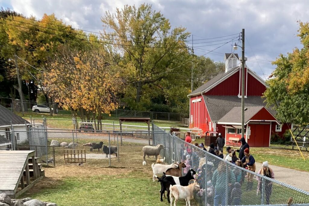 Hooves & Hikes with a Farmer